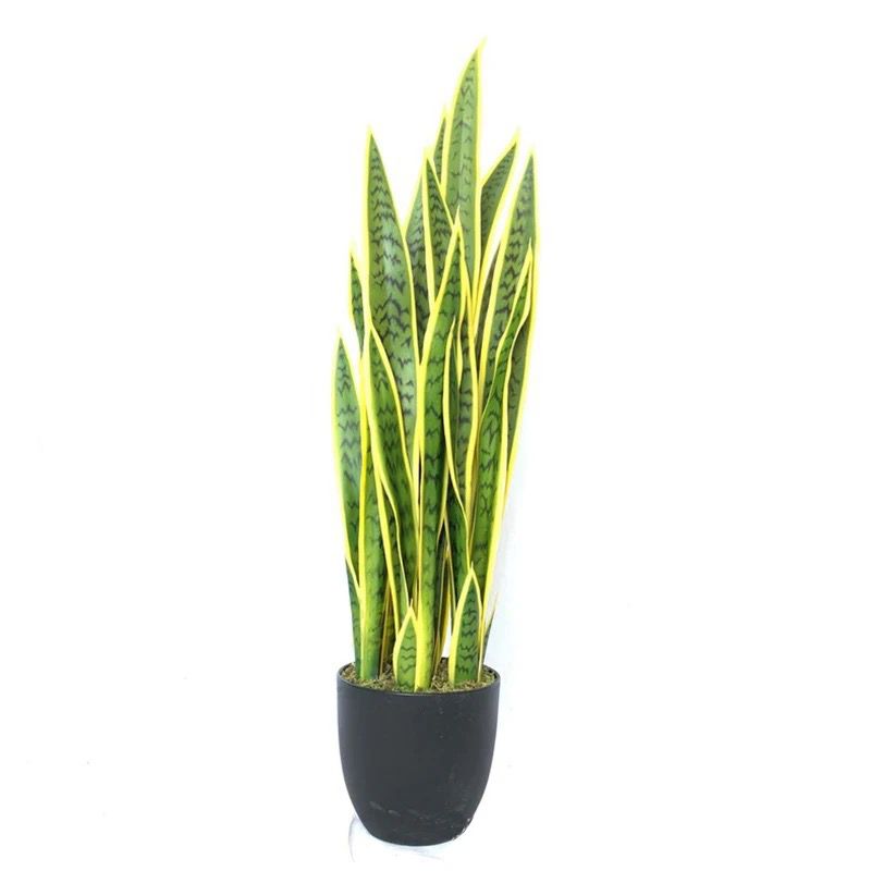 Real touch Yellow sansevieria ( Snake plant)