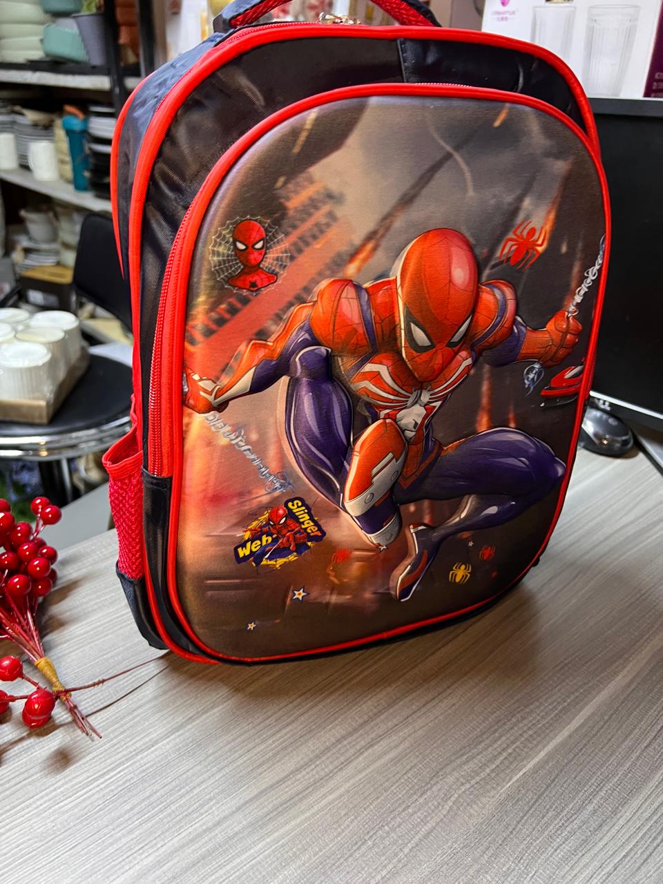 Heavy capacity school bag