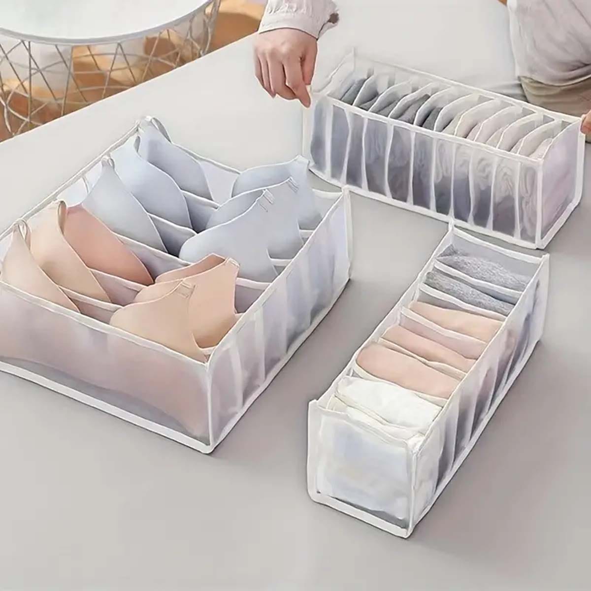 3pcs Multipurpose / undergarment organiser