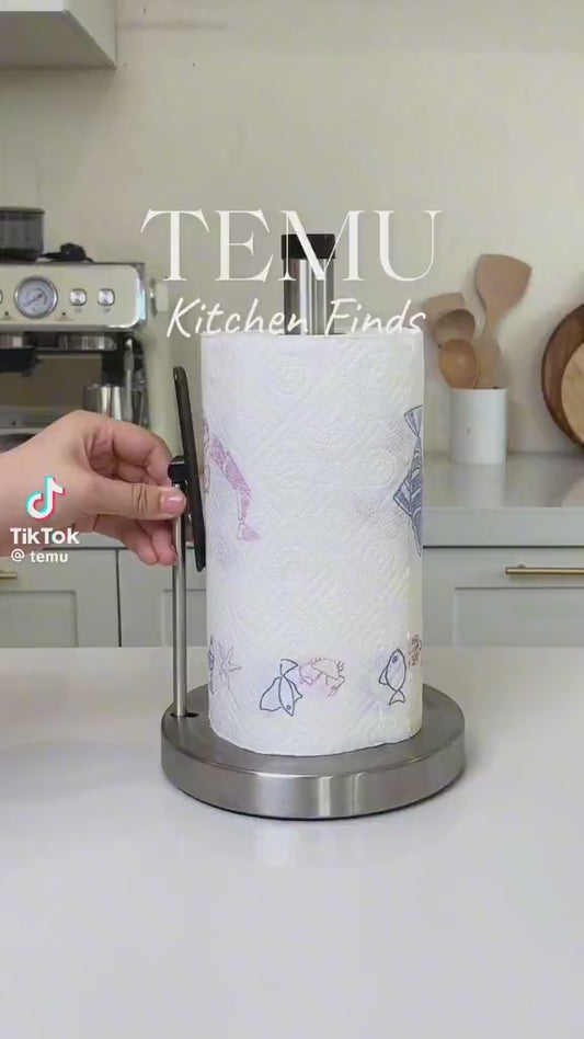 2 in 1 paper Stainless Steel kitchen paper towel holder