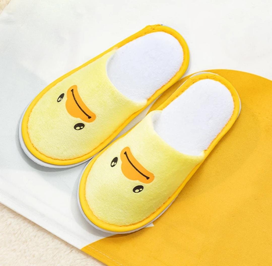 Kids indoor slippers