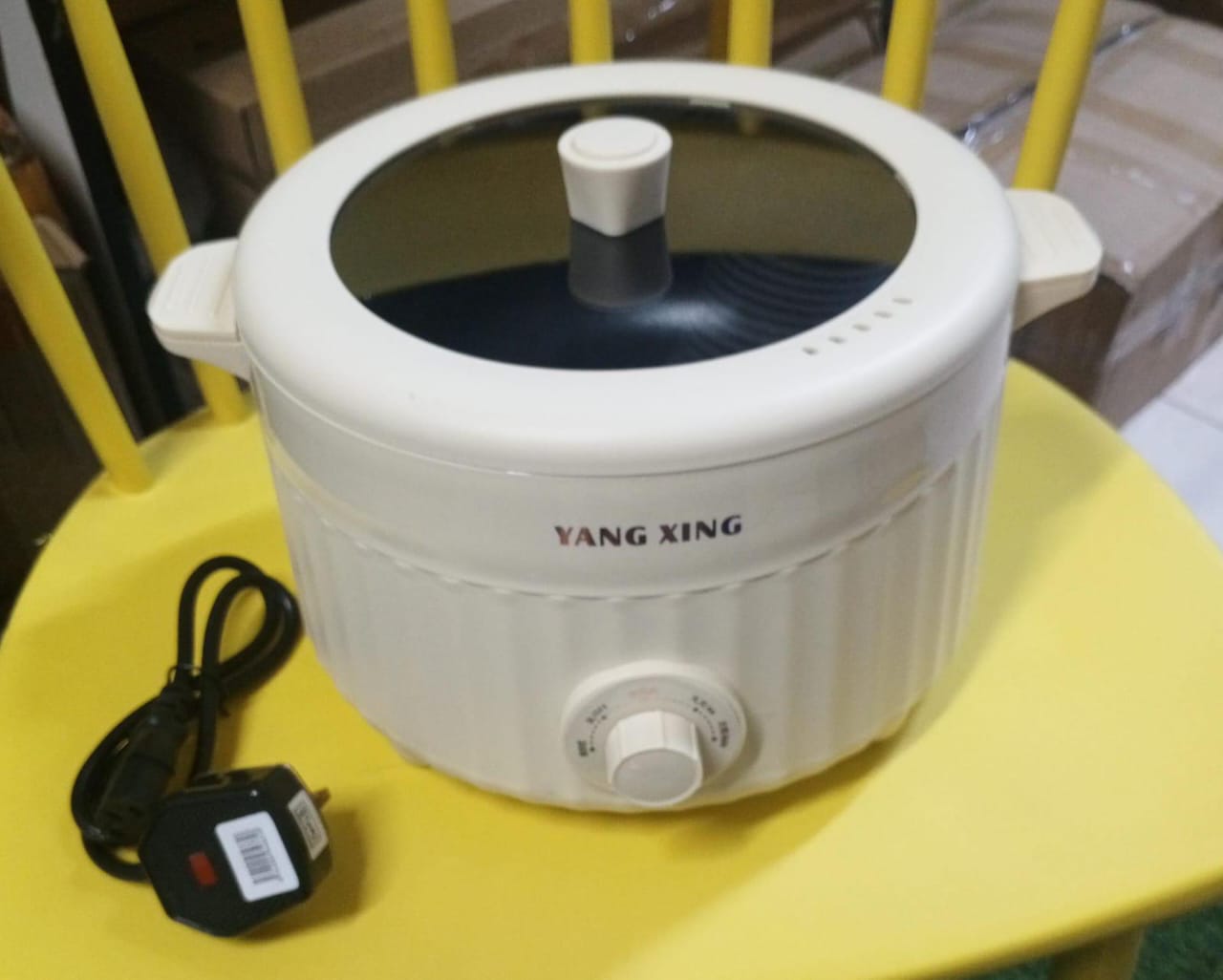 Multiple purposes electric cooker