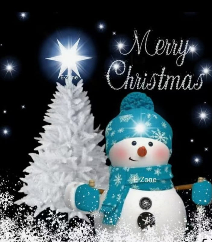 Christmas throw pillow covers