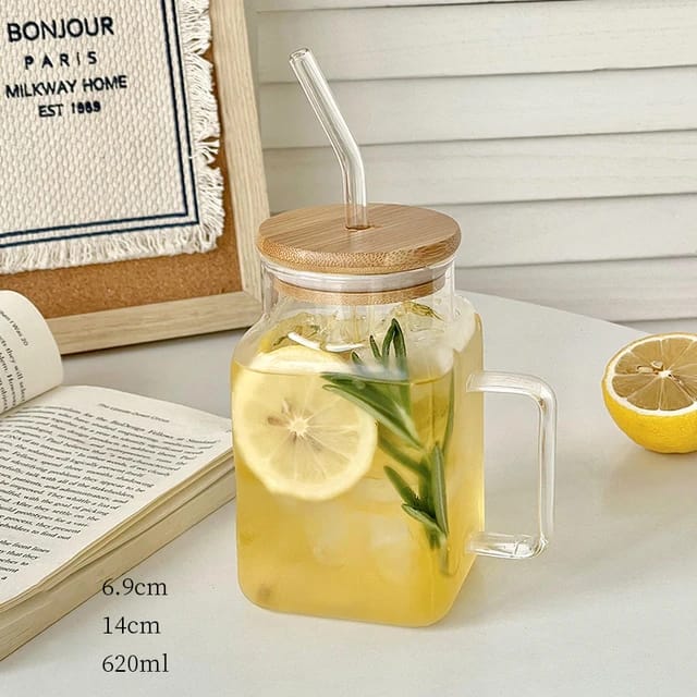 620ml high quality borosilicate glass cup with handle and bamboo lid