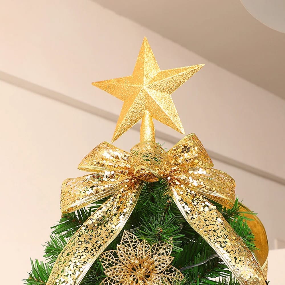 Christmas star
