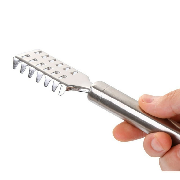 Fish Scaler Brush
